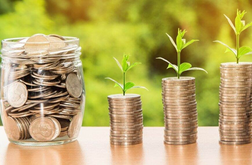money, profit, finance, dividend investing
