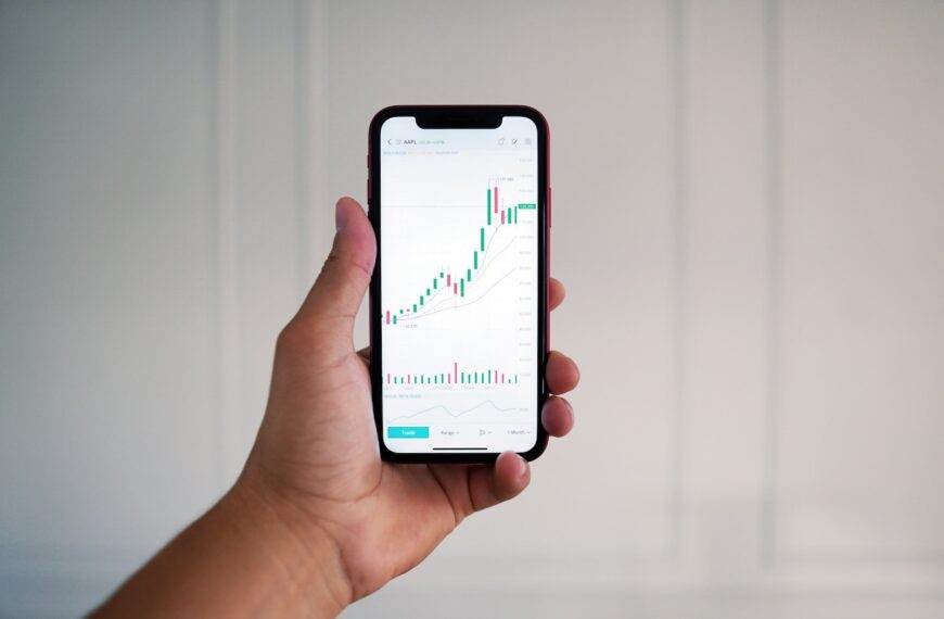person holding black android smartphone, Dividend Snowball vs Dividend Growth
