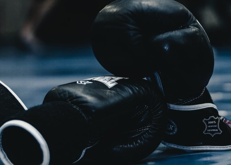 pair of black boxing gloves; dividend investing vs growth